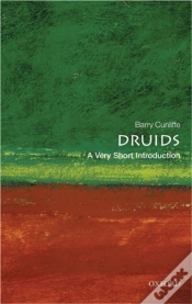 Capa do artigo Druids