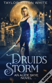 Capa do artigo Druid