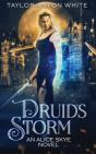 Druid'S Storm - Preview