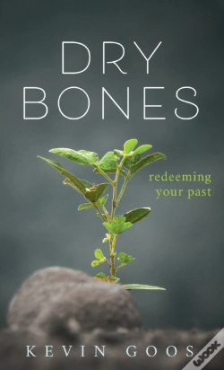 Capa do artigo Dry Bones: Redeeming Your Past