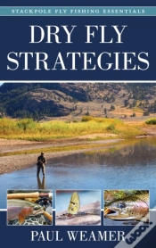 Capa do artigo Dry Fly Strategies