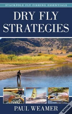 Capa do artigo Dry Fly Strategies