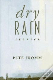 Capa do artigo Dry Rain