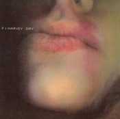Capa do artigo Dry - Vinil