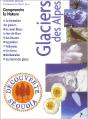 Ds - Glacier Des Alpes - Preview