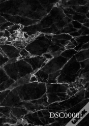 Capa do artigo Dsc00001
