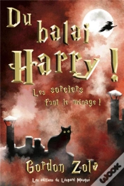 Capa do artigo Du Balai, Harry !