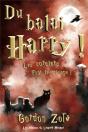 Du Balai, Harry ! - Preview