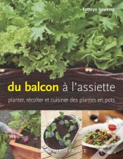 Capa do artigo Du Balcon À L