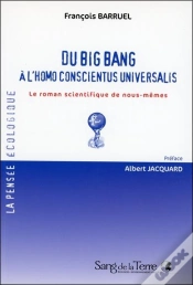 Capa do artigo Du Big Bang À L