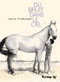 Du Bruit Dans Le Ciel - Preview