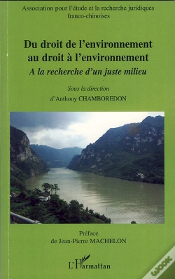 Capa do artigo Du Droit De L'Environnement Au Droit À L'Environnement ; À La Recherche D'Un Juste Milieu