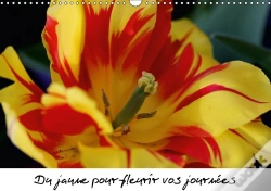Capa do artigo Du Jaune Pour Fleurir Vos Journees Calendrier Mural 2018 Din A3 Horizontal