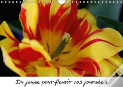 Capa do artigo Du Jaune Pour Fleurir Vos Journees Calendrier Mural 2018 Din A4 Horizontal