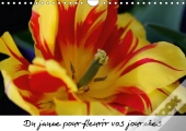 Du Jaune Pour Fleurir Vos Journees Calendrier Mural 2018 Din A4 Horizontal