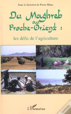Capa do artigo Du Maghreb Au Proche-Orient ; Les Defis De L'Agriculture