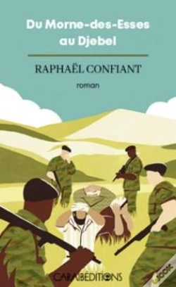 Capa do artigo Du Morne Des Esses Au Djebel