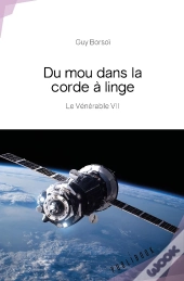 Du Mou Dans La Corde À Linge