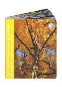 Du Platane Au Gingko : Histoires D'Automne