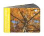 Du Platane Au Gingko : Histoires D'Automne - Preview