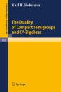 Duality Of Compact Semigroups And C*-Bigebras - Preview