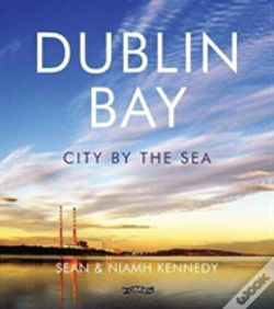 Capa do artigo Dublin Bay