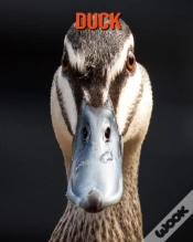 Capa do artigo Duck