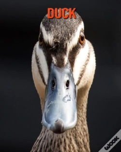 Capa do artigo Duck