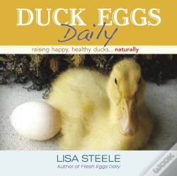 Capa do artigo Duck Eggs Daily