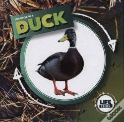 Capa do artigo Duck
