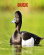 Duck - Preview