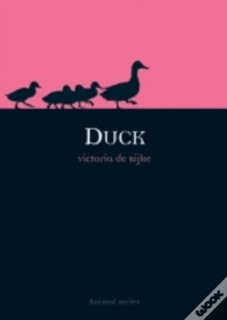 Capa do artigo Duck
