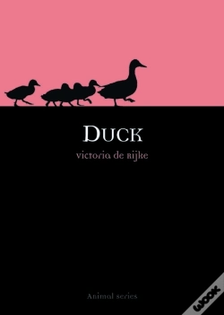 Capa do artigo Duck