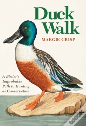 Capa do artigo Duck Walk