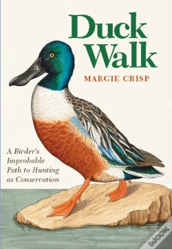 Capa do artigo Duck Walk