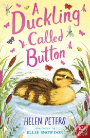 Capa do artigo Duckling Called Button