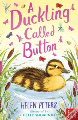 Capa do artigo Duckling Called Button