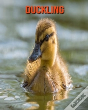 Capa do artigo Duckling