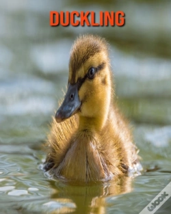 Capa do artigo Duckling