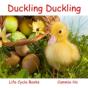 Duckling Duckling - Preview