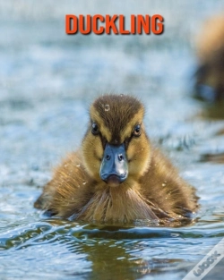 Capa do artigo Duckling