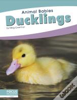 Ducklings