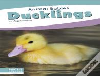 Ducklings
