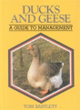 Ducks And Geese - Preview
