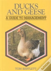 Capa do artigo Ducks And Geese