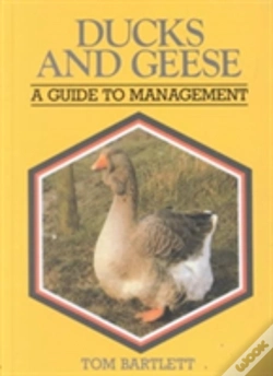 Capa do artigo Ducks And Geese