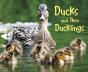 Ducks And Their Ducklings - Preview