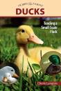 Ducks - Preview