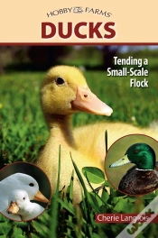 Capa do artigo Ducks