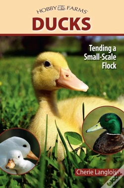 Capa do artigo Ducks